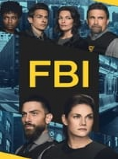 F.B.I. Saison 6 en streaming français