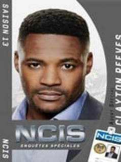 NCIS : Enquêtes spéciales Saison 13 en streaming français