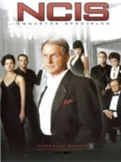 NCIS : Enquêtes spéciales saison 3 épisode 13